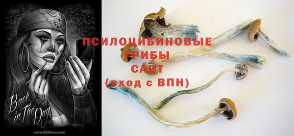 тгк Костерёво