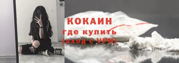трава Корсаков