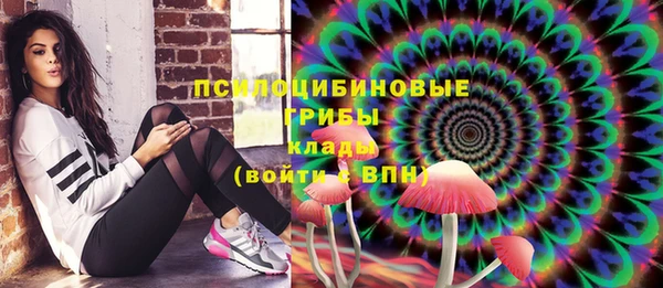 трава Корсаков