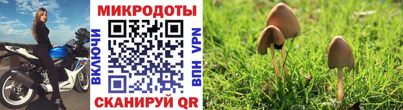 Галлюциногенные грибы Cubensis  Кинешма 