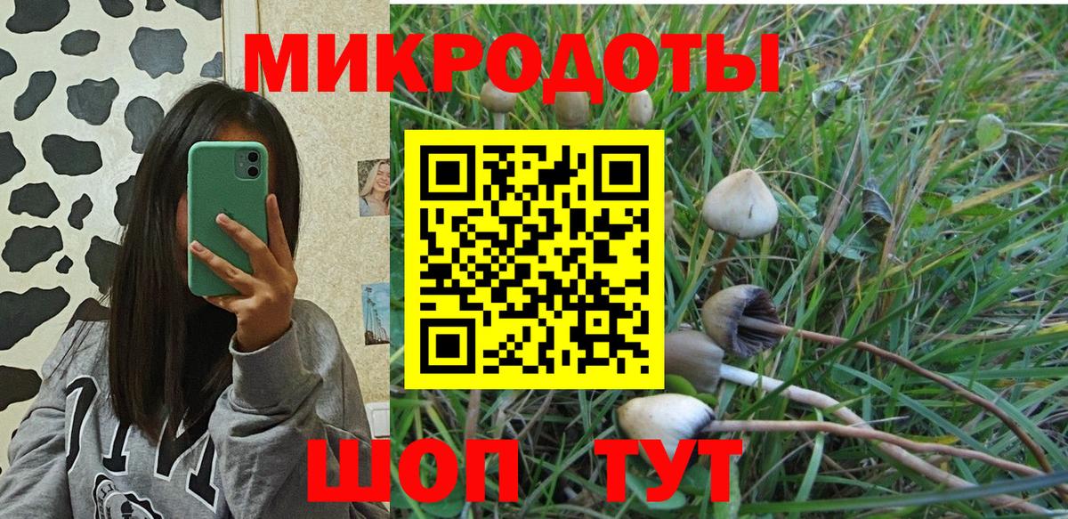 Галлюциногенные грибы мухоморы  Галлюциногенные грибы Magic Shrooms  Вход с VPN  Кинешма 