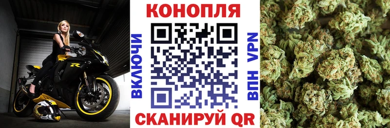 МАРИХУАНА планчик Кинешма